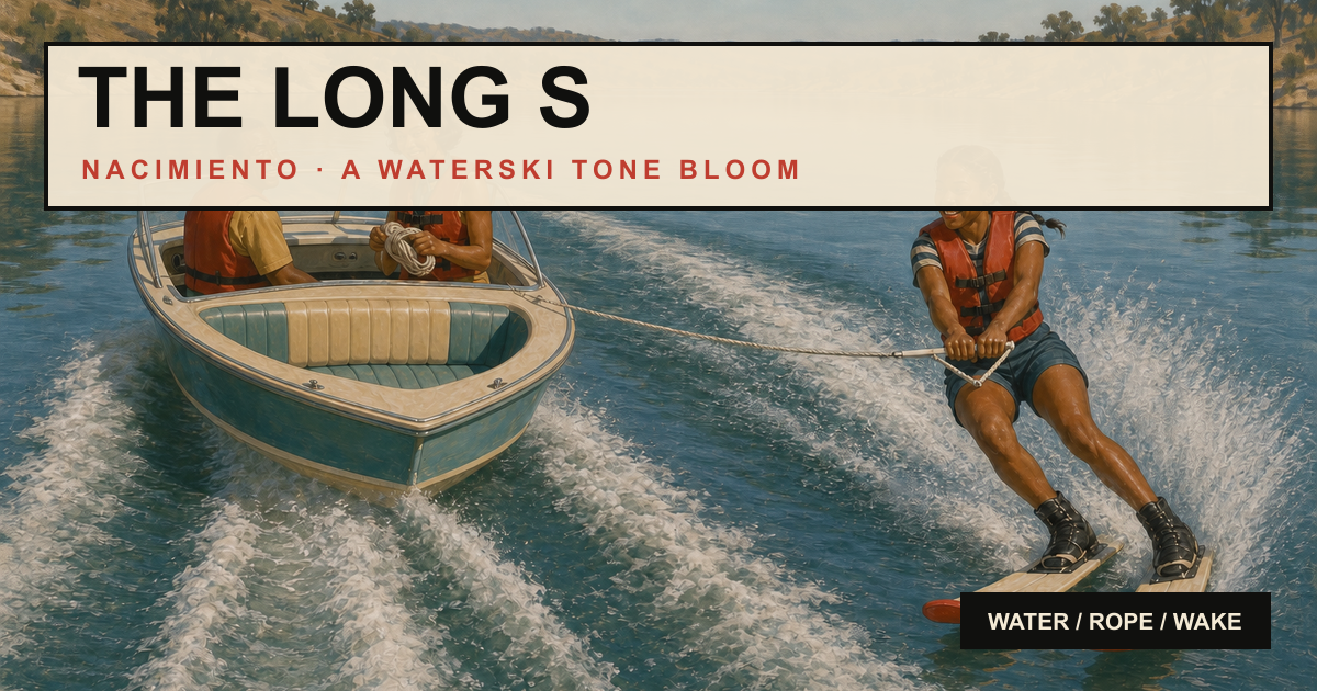 The Long S selected Tone Bloom artwork